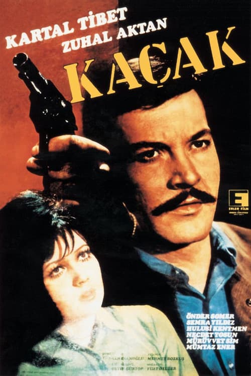 Kaçak (1970) poster