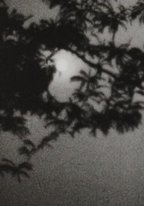 Moonplay (1962) poster