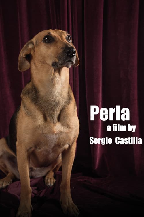 Perla: La Película (2015) poster