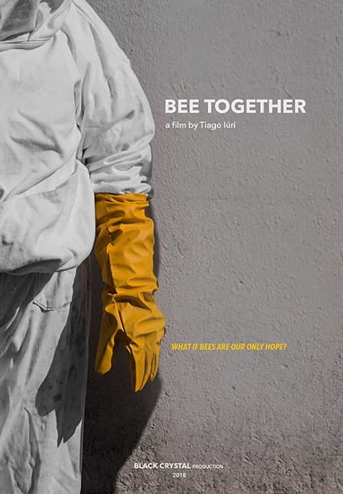Bee Together (2018) poster