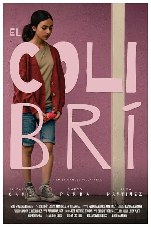 El Colibrí (2024) poster