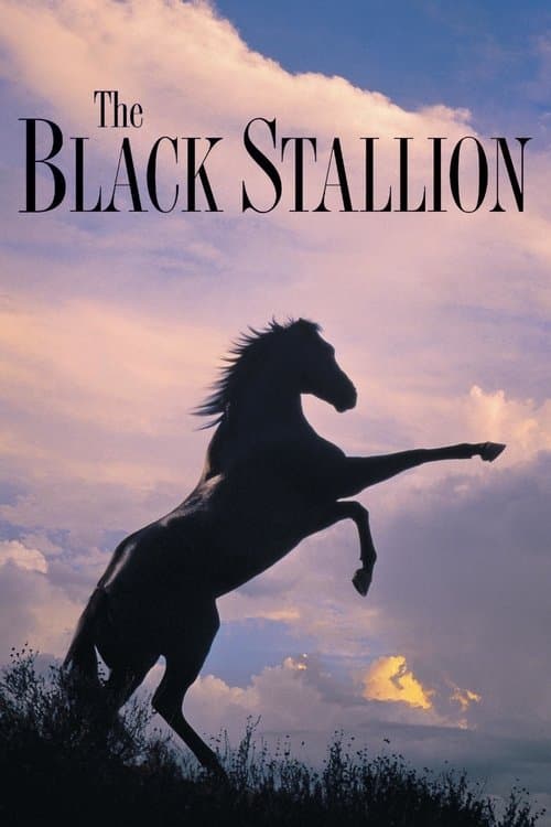 The Black Stallion (1979) poster