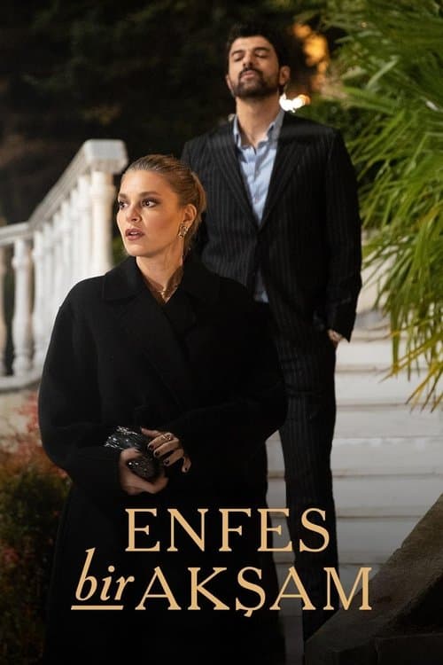 Enfes Bir Akşam (2025) poster