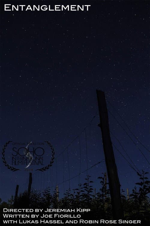 Entanglement (2018) poster