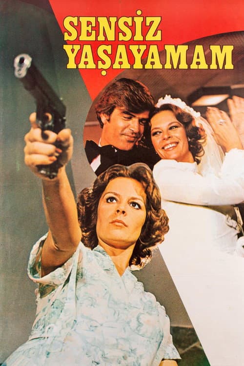 Sensiz Yaşayamam (1977) poster