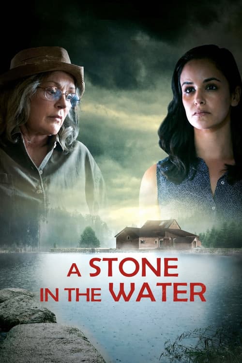 A Stone in the Water (2019) poster