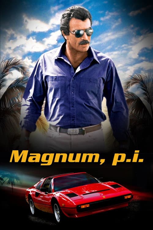 Magnum (1980) poster