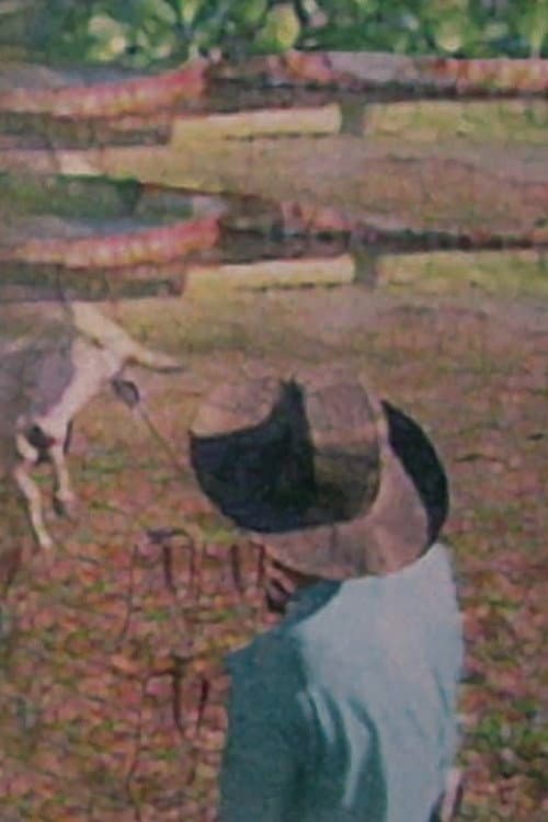 Pantanal: las aguas de la vida (1997) poster