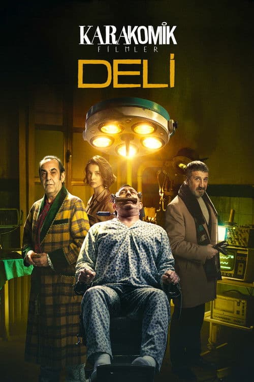 Karakomik Filmler 2: Deli (2020) poster