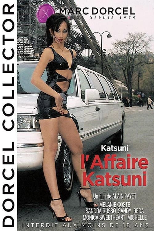 L'Affaire Katsuni (2002) poster