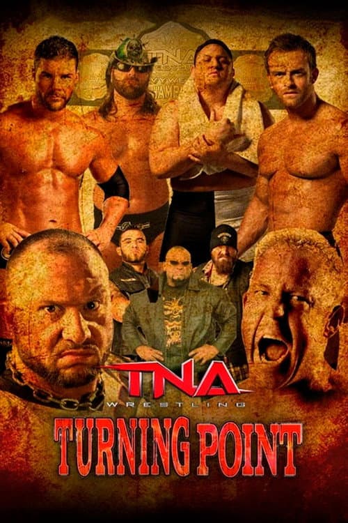 TNA Turning Point 2013 (2013) poster
