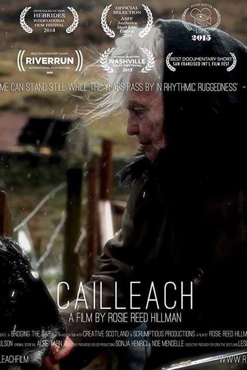 Cailleach (2015) poster