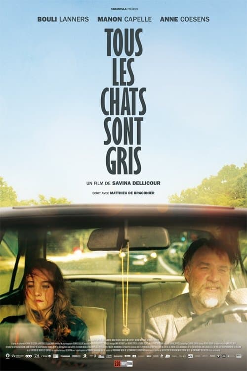 Tous les chats sont gris (2014) poster