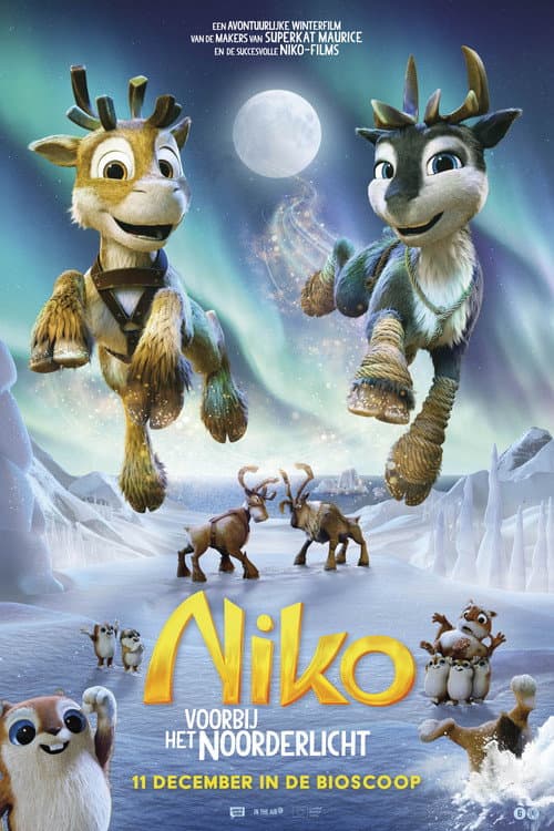 Niko voorbij het noorderlicht (2024) poster