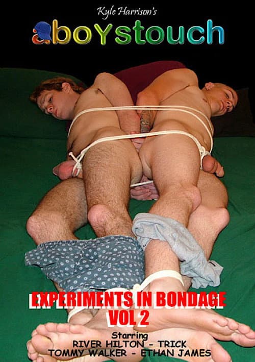 Experiments In Bondage 2 (2011) poster