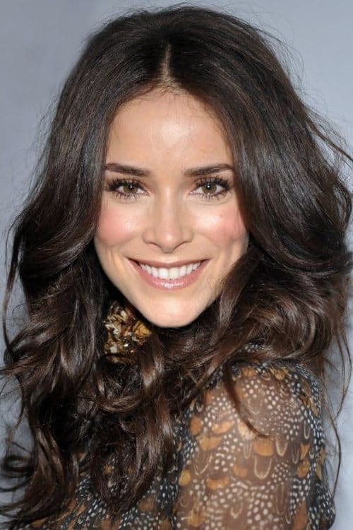 Abigail Spencer foto