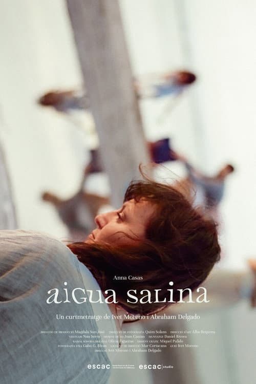Aigua Salina (2025) poster