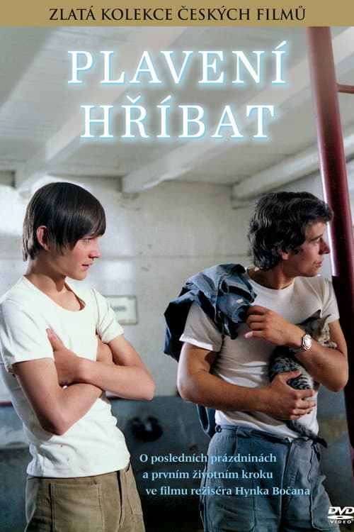 Plavení hříbat (1976) poster