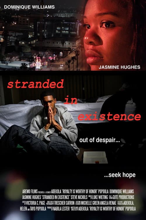 Stranded in Existence (2013) poster
