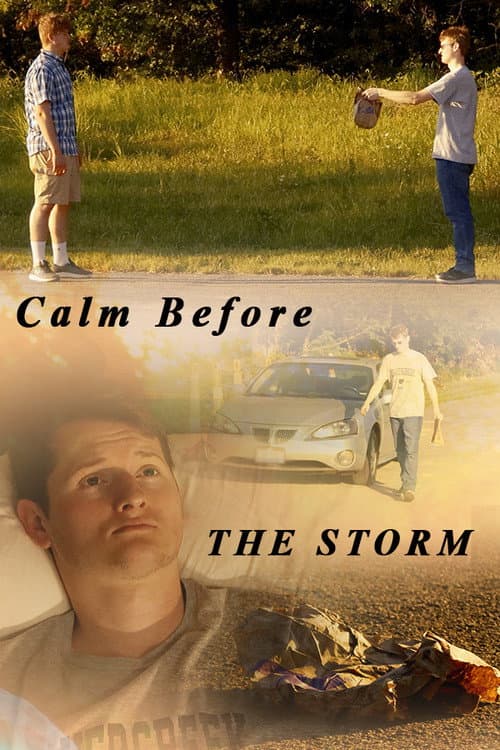 Calm Before The Storm (2025) poster