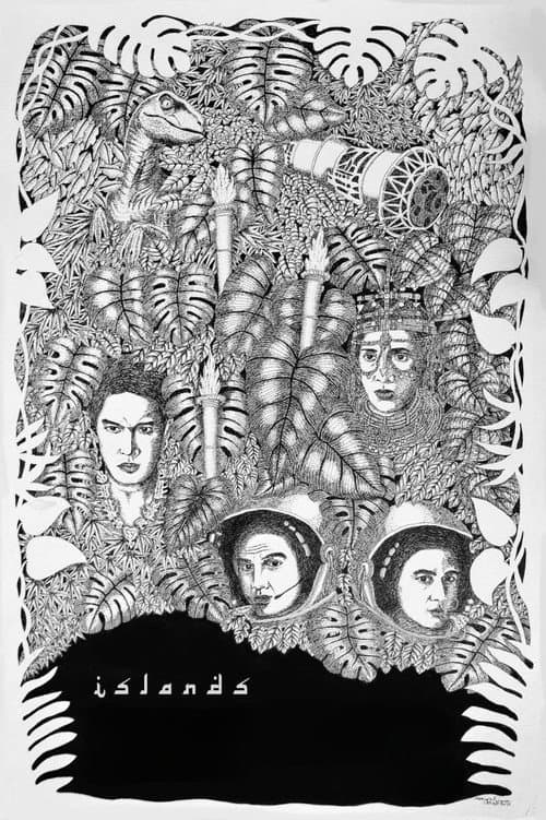 Islands (2013) poster
