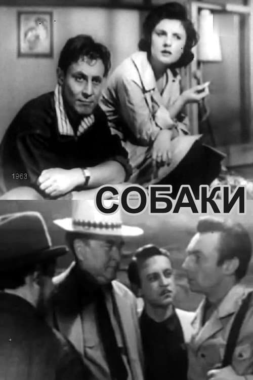 Собаки (1963) poster
