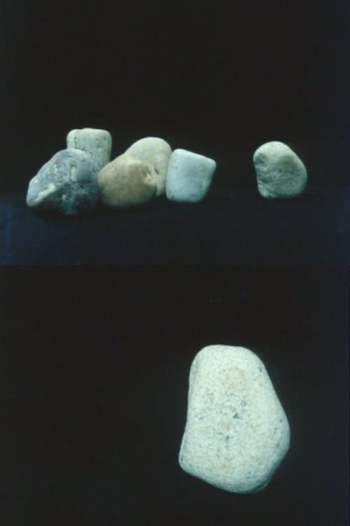 Rocks (1985) poster