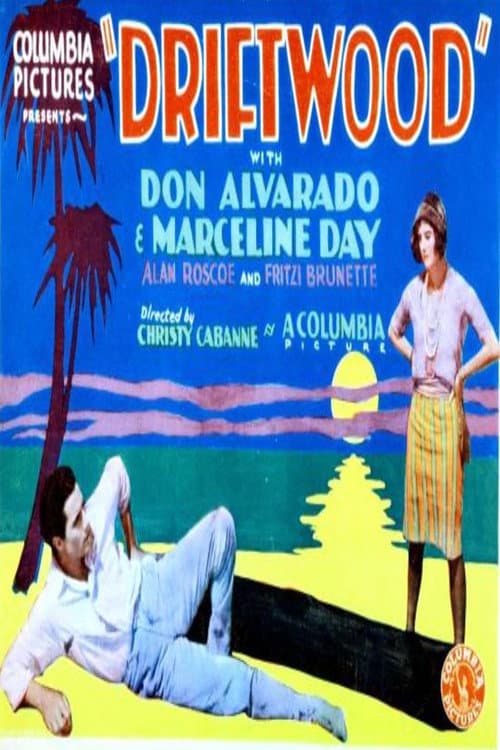 Driftwood (1928) poster