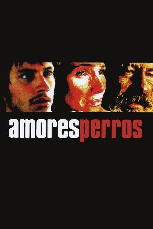 Amores perros (2000) poster