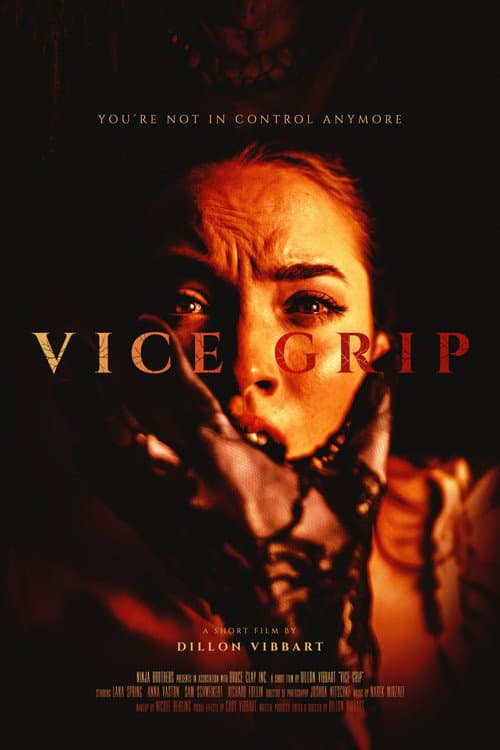 Vice Grip (2024) poster