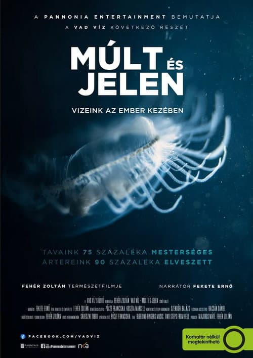 Múlt és jelen - Vizeink az ember kezében (2022) poster