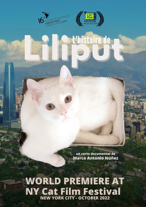L'historie De Liliput (2017) poster