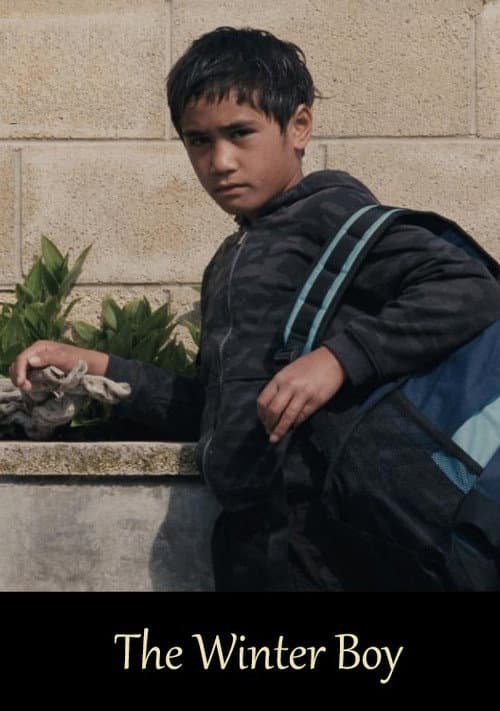 The Winter Boy (2010) poster