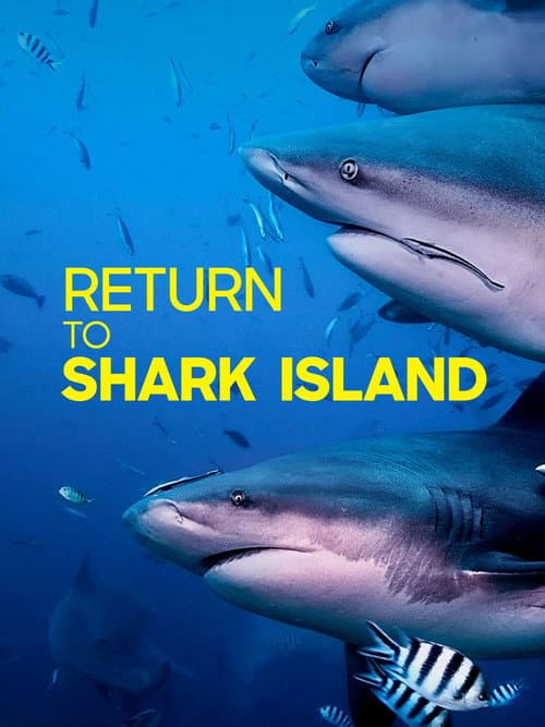 Return to Shark Island (2019) poster