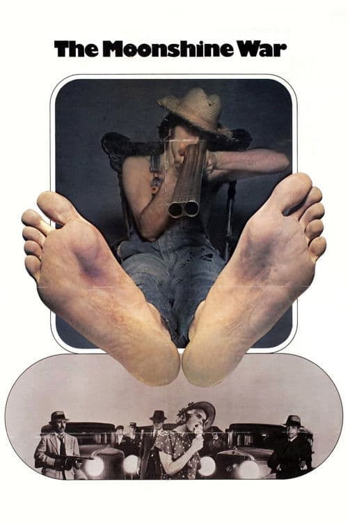 The Moonshine War (1970) poster