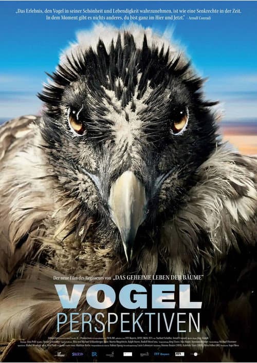 Vogelperspektiven (2022) poster