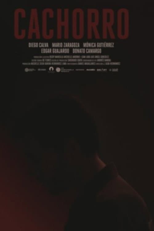 Cachorro (2020) poster