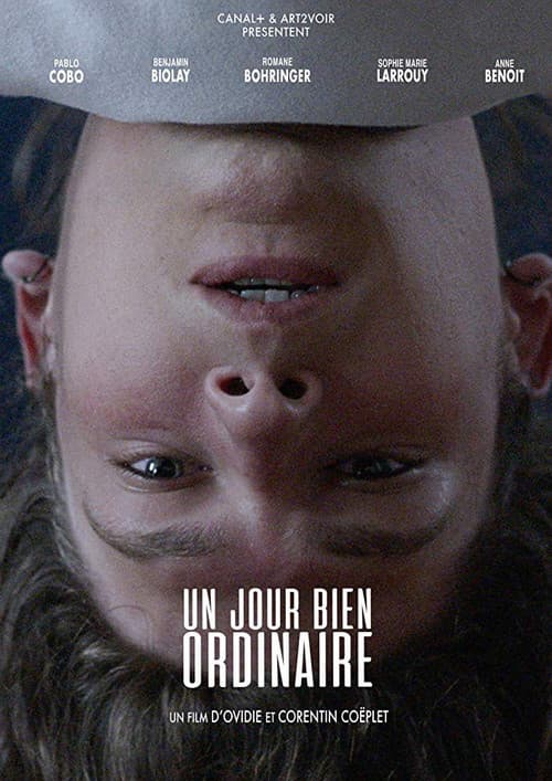 Un jour bien ordinaire (2019) poster
