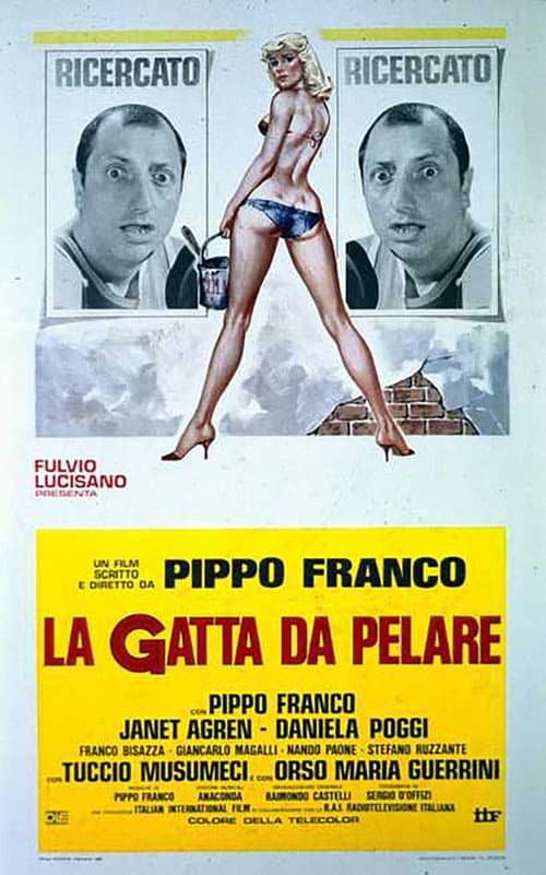 La gatta da pelare (1981) poster