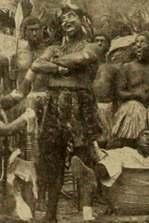 Rastus Among the Zulus (1913) poster