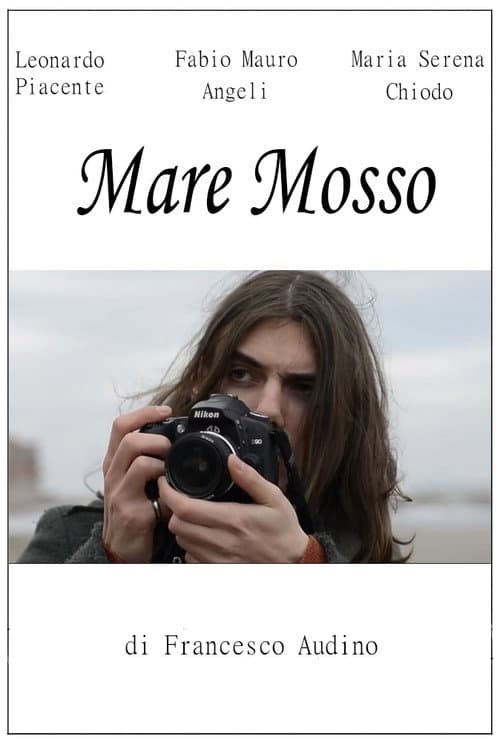 Mare mosso (2017) poster