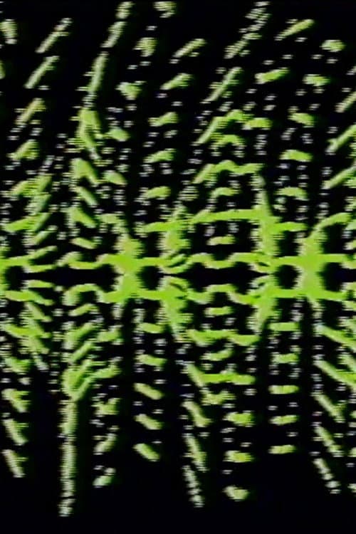 Modulated Horizontal Lines (1976) poster