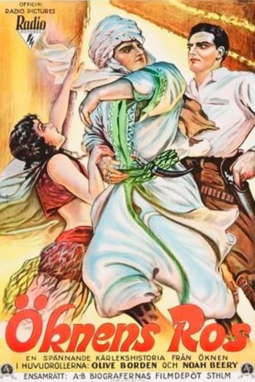 Love In The Desert (1929) poster