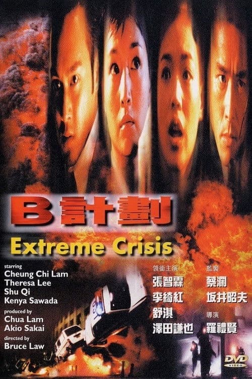 B計劃 (1998) poster