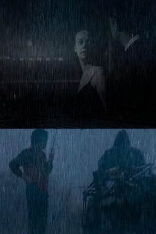 Sem Titulo #4: Apesar dos Pesares, na Chuva há de Cantares (2018) poster