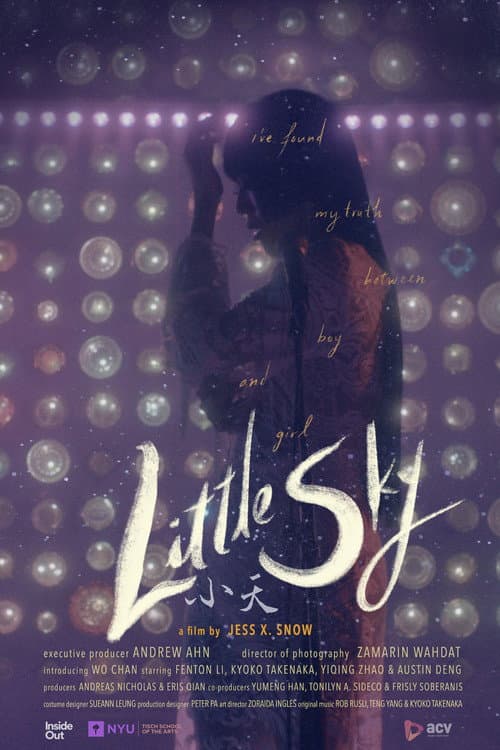 Little Sky (2021) poster