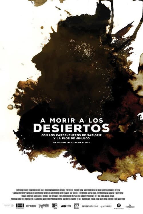 A morir a los desiertos (2017) poster