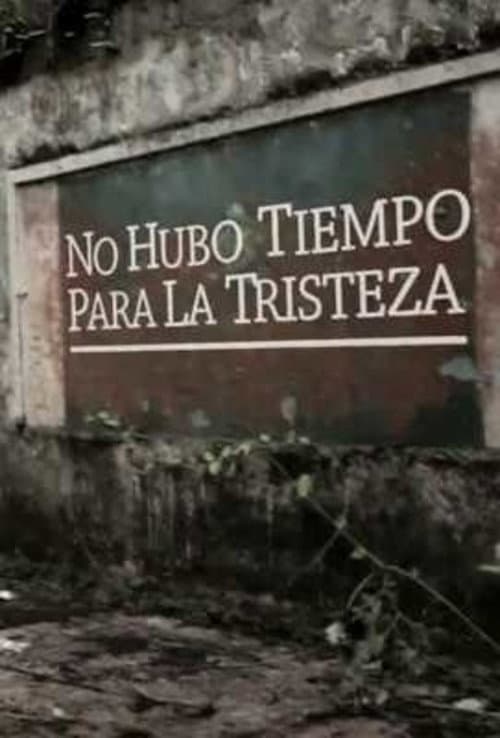 No hubo tiempo para la tristeza (2013) poster