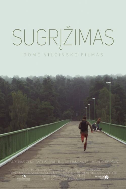 Sugrįžimas (2015) poster