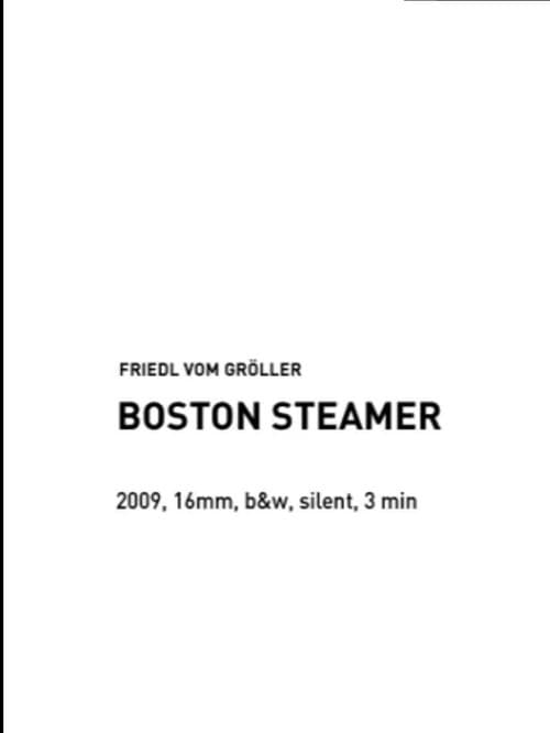 Boston Steamer (2009) poster